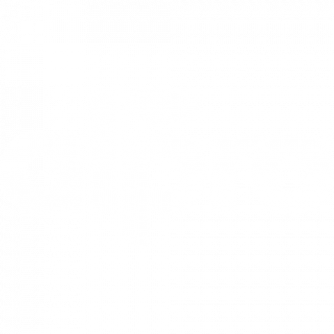 alpro logo