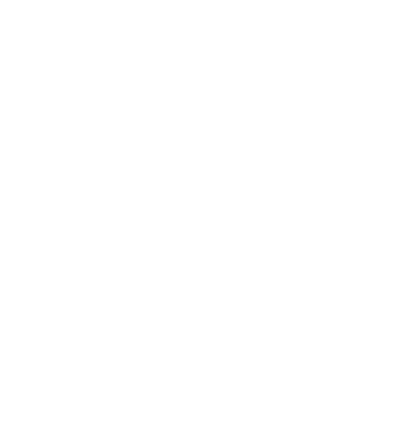 Burton Snowboards logo