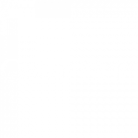 Calvin Klein Logo