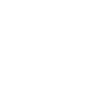 Publicis Groupe